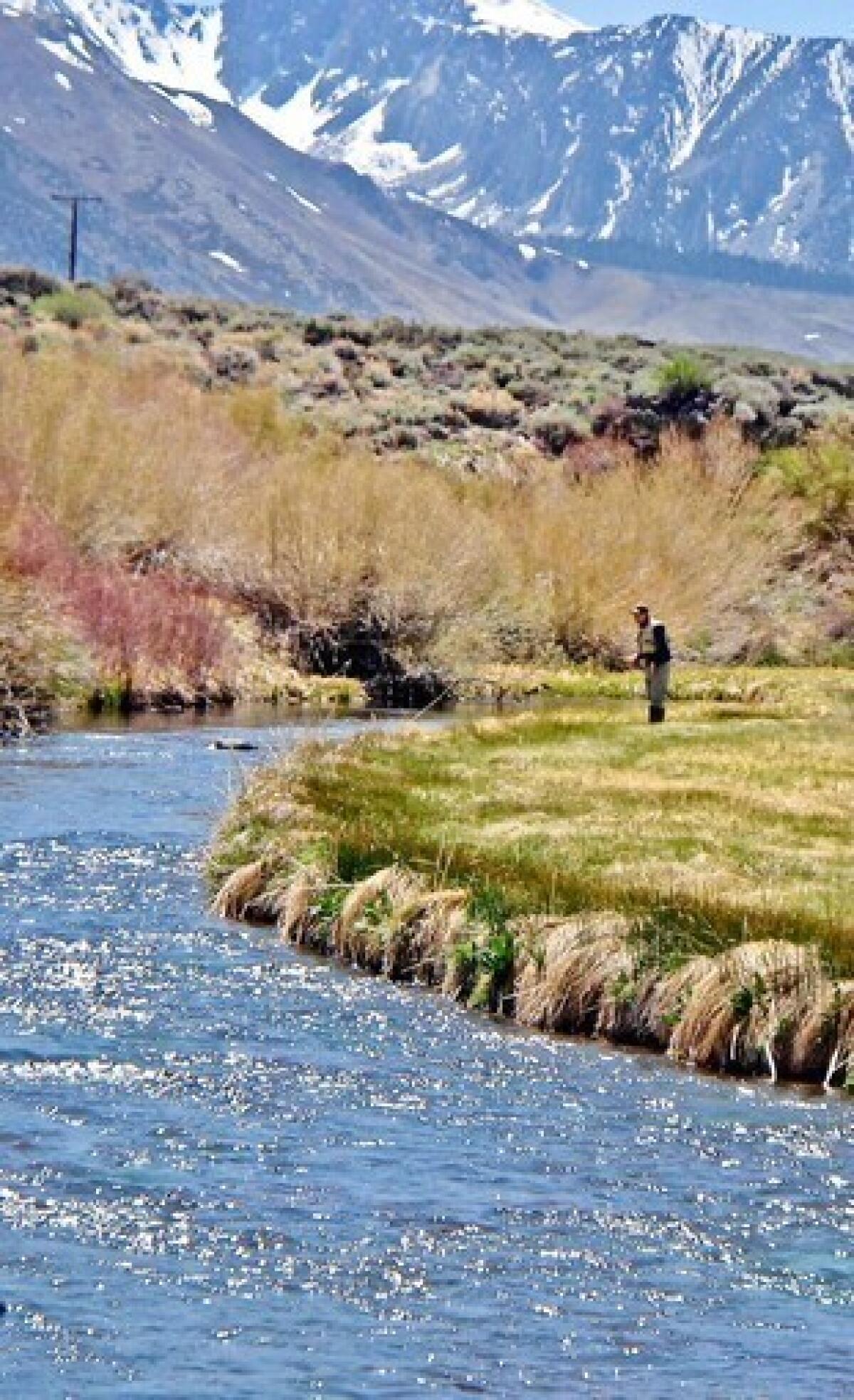 Hot Creek Ranch, outside Mammoth Lakes, has a two-mile stretch for fly fishing.