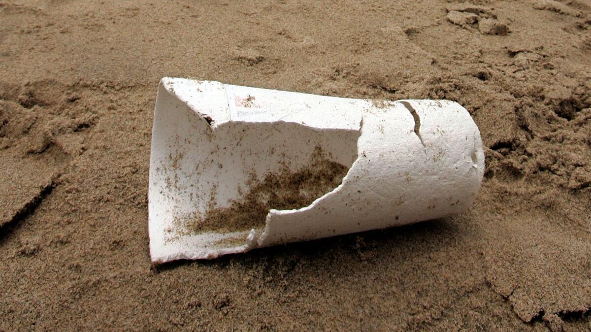 A discarded polystyrene cup lies near the shoreline at Santa Monica Beach in 2006. The Ventura City Council this week voted to ban restaurants from using polystyrene food containers.