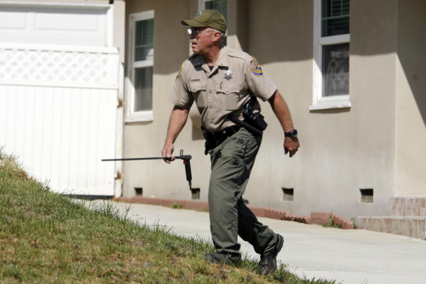 Mountain lion captured in La Crescenta residential area