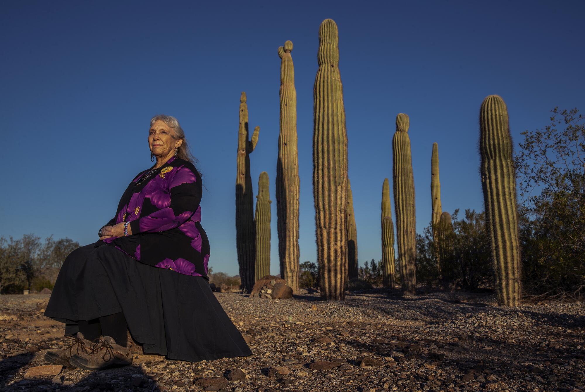 A woman sits near cacti. 
