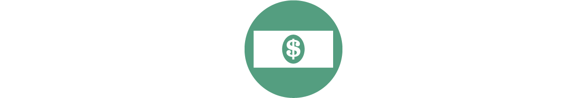 cash icon