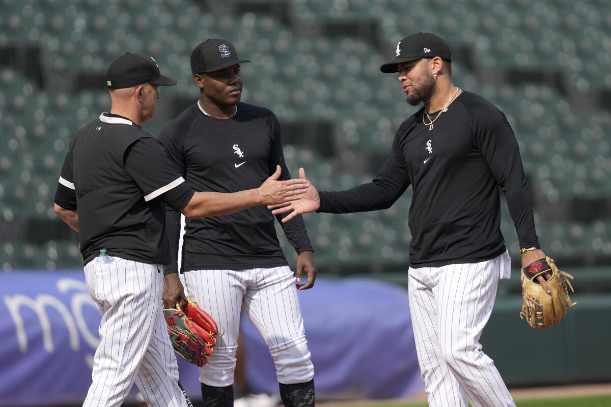 How high should White Sox aim in '21? 'World Series or bust,' hitting coach  says - Chicago Sun-Times