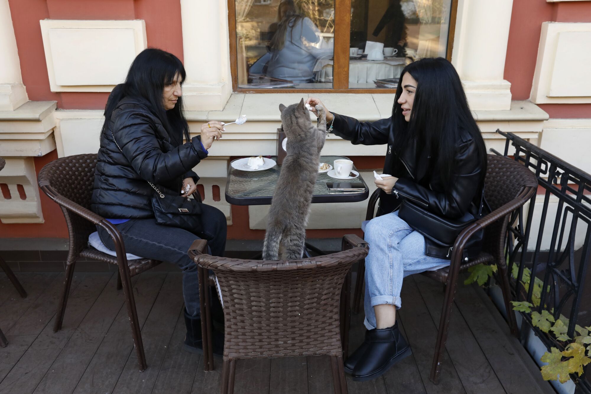 Two women have coffee and share their cheesecake with a stray cat at a coffee shop in Mykolaiv. 