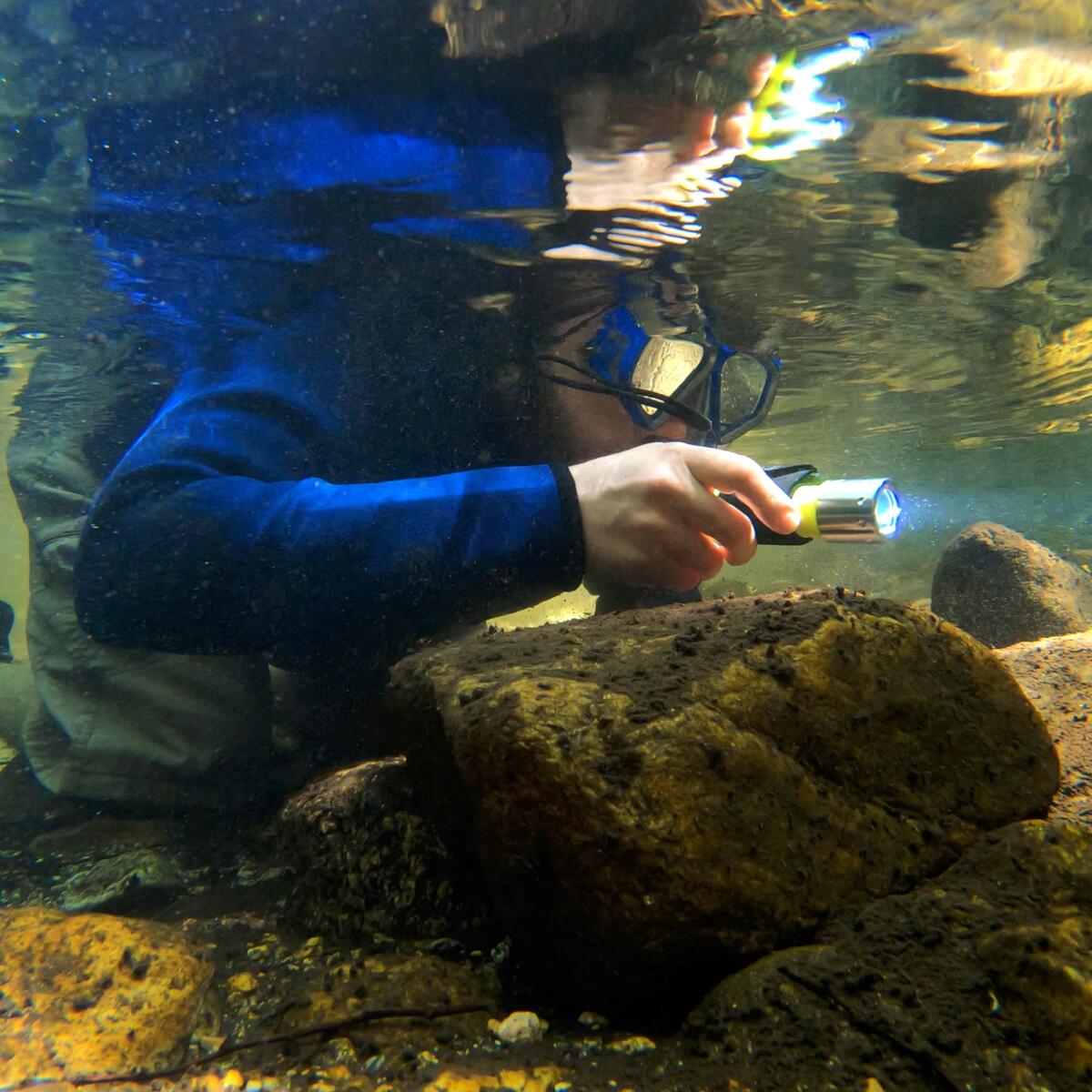 Scuba diver submerged in water holding a flashlight