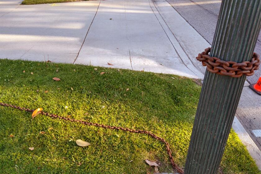 A chain would-be thieves left on a 1920’s-era light pole along Orange Grove Blvd. in Pasadena, where more than 10 bronze street lamp posts have been stolen.