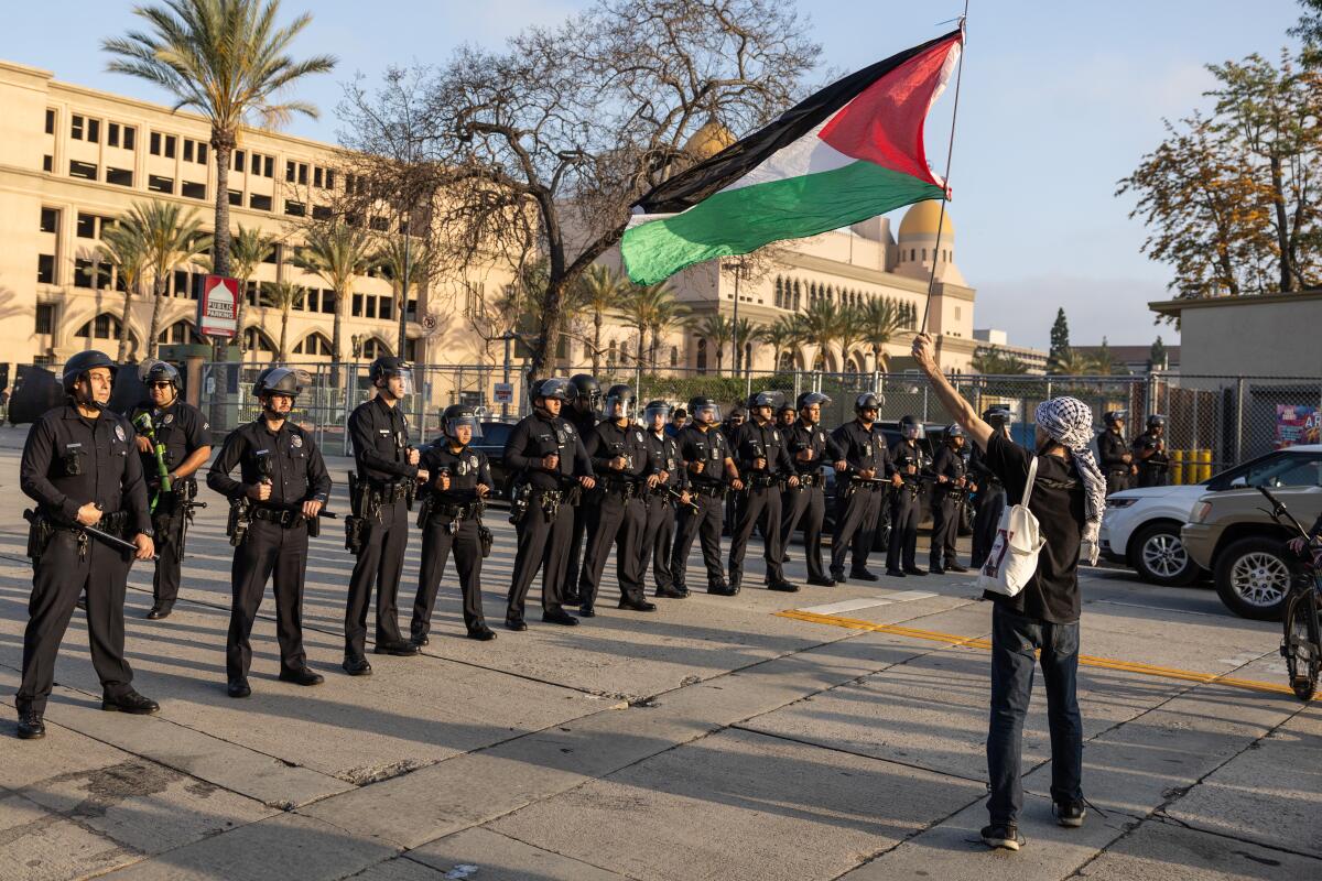 A man with a Palestine flag in front of a row of police officers.