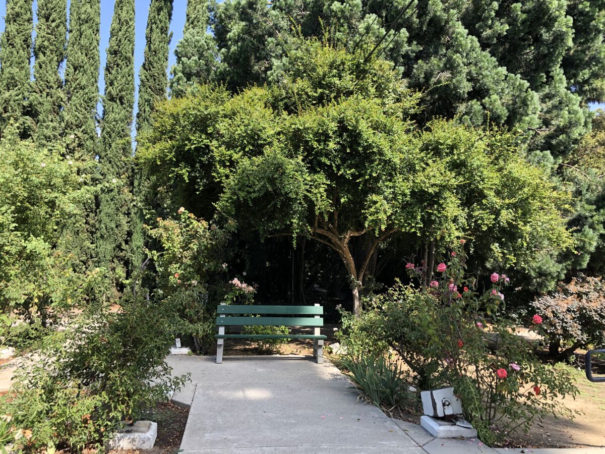 Silence-seekers who come to Lacy Park should head for the rose garden on the park’s west side.