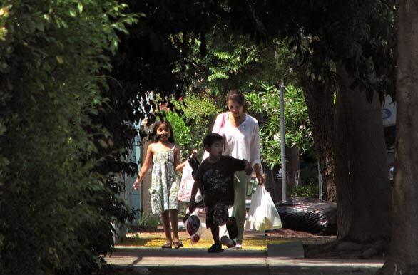 Tree-lined sidewalk