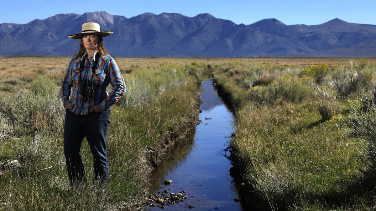 Susanna Danner, land conservation program director for the Eastern Sierra Land Trust, stands next to a canal that diverts Sierra runoff onto pastures.