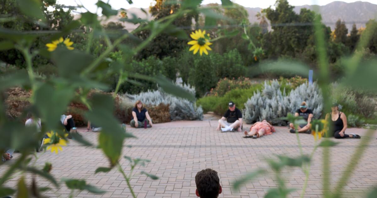 Les gens se baignent dans la nature pour faire une pause dans le cycle interminable de l’actualité