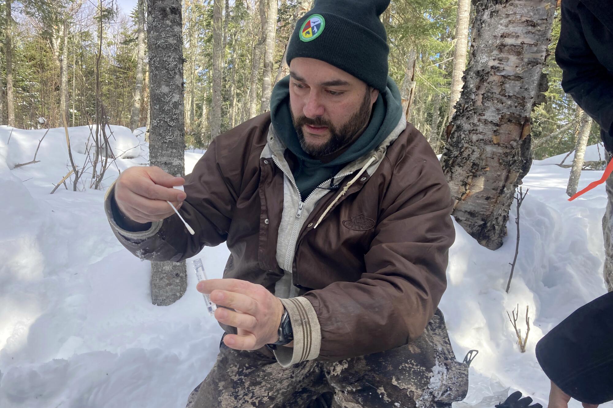 A man in snowy woods places a sample swab into a vial while testing a young deer for the coronavirus.