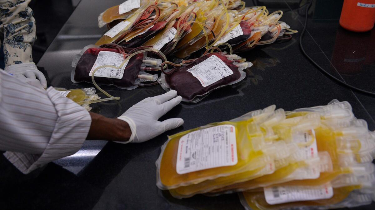 A medical assistant arranges packs of donated blood at a clinic in New Delhi on June 1. More than 2,000 Indians contracted HIV over a 17-month period after receiving blood transfusions.