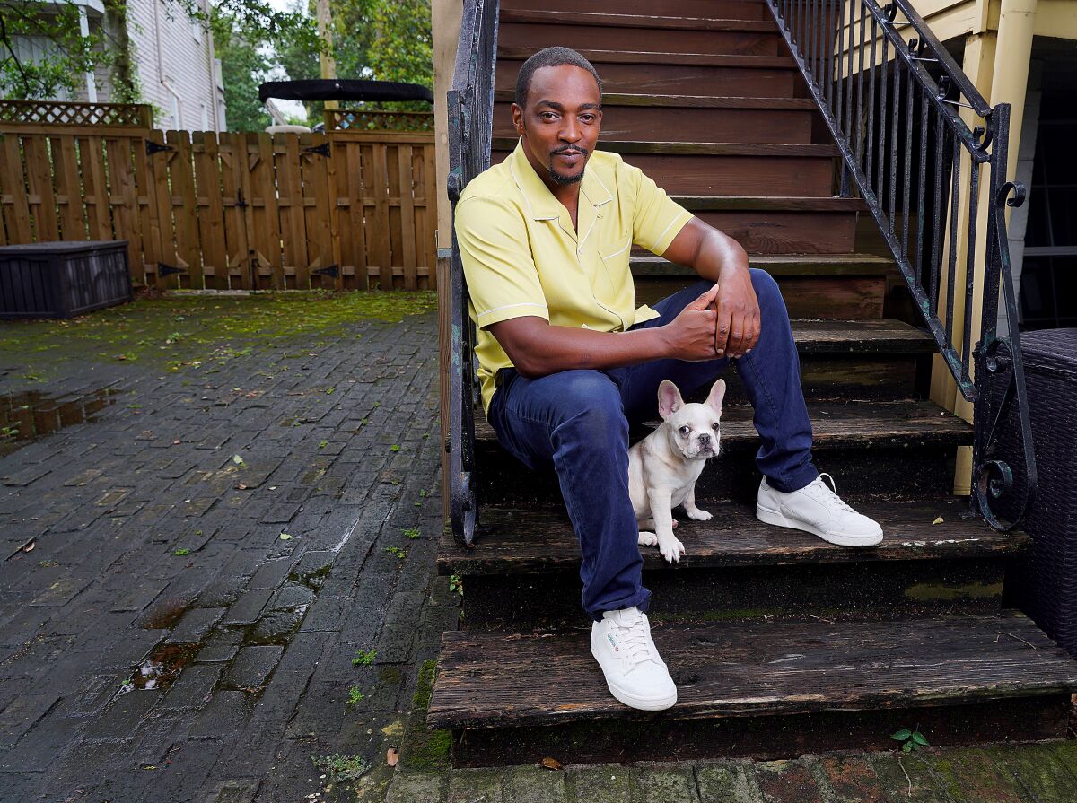 Anthony Mackie sits on a New Orleans staircase with a white French bulldog. 