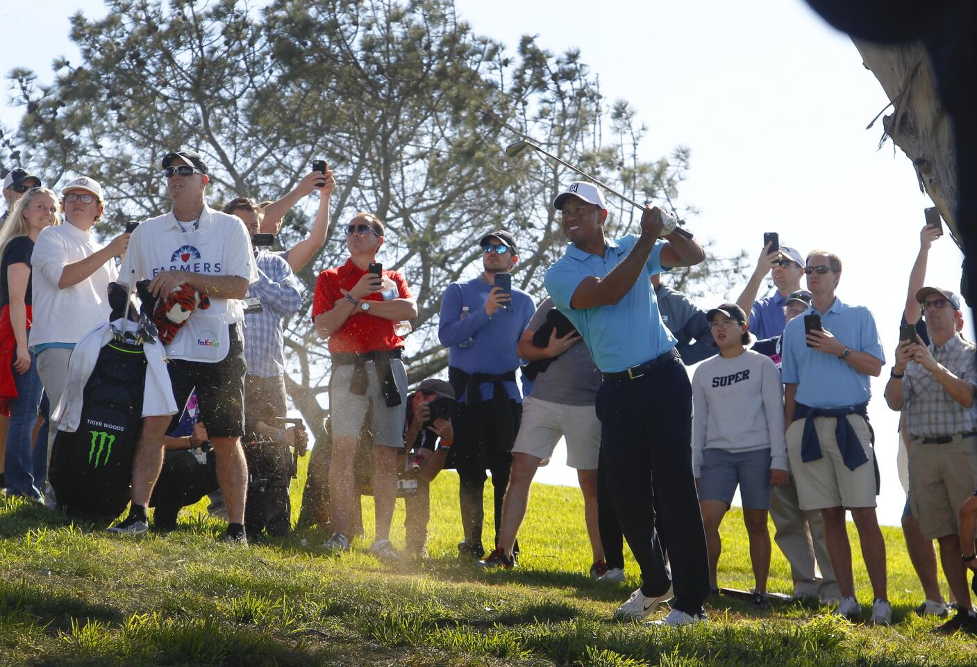 Tiger Woods returns to golf The San Diego UnionTribune