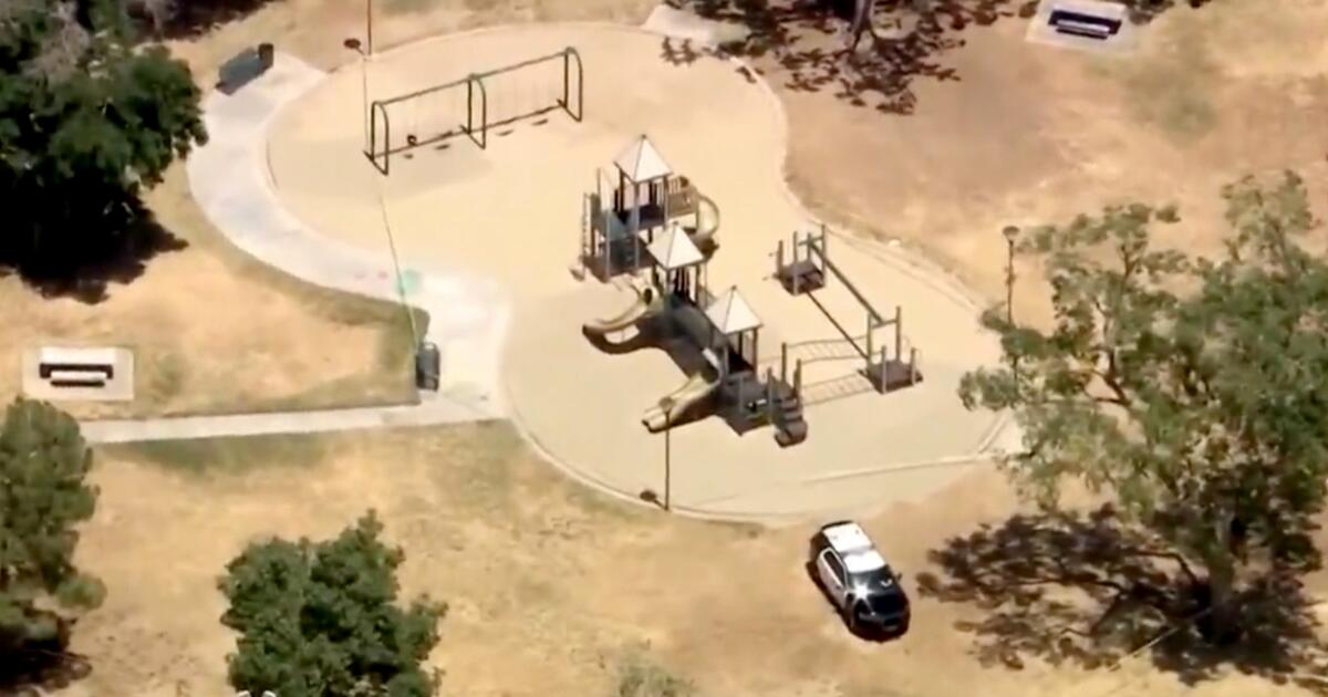 Dad arrested in loss of life of boy discovered unresponsive at California park