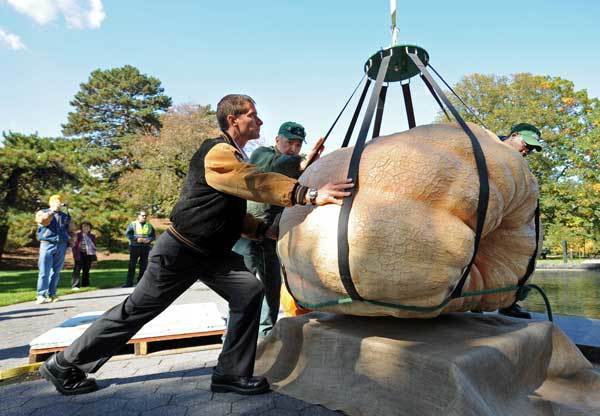 World's largest pumpkins