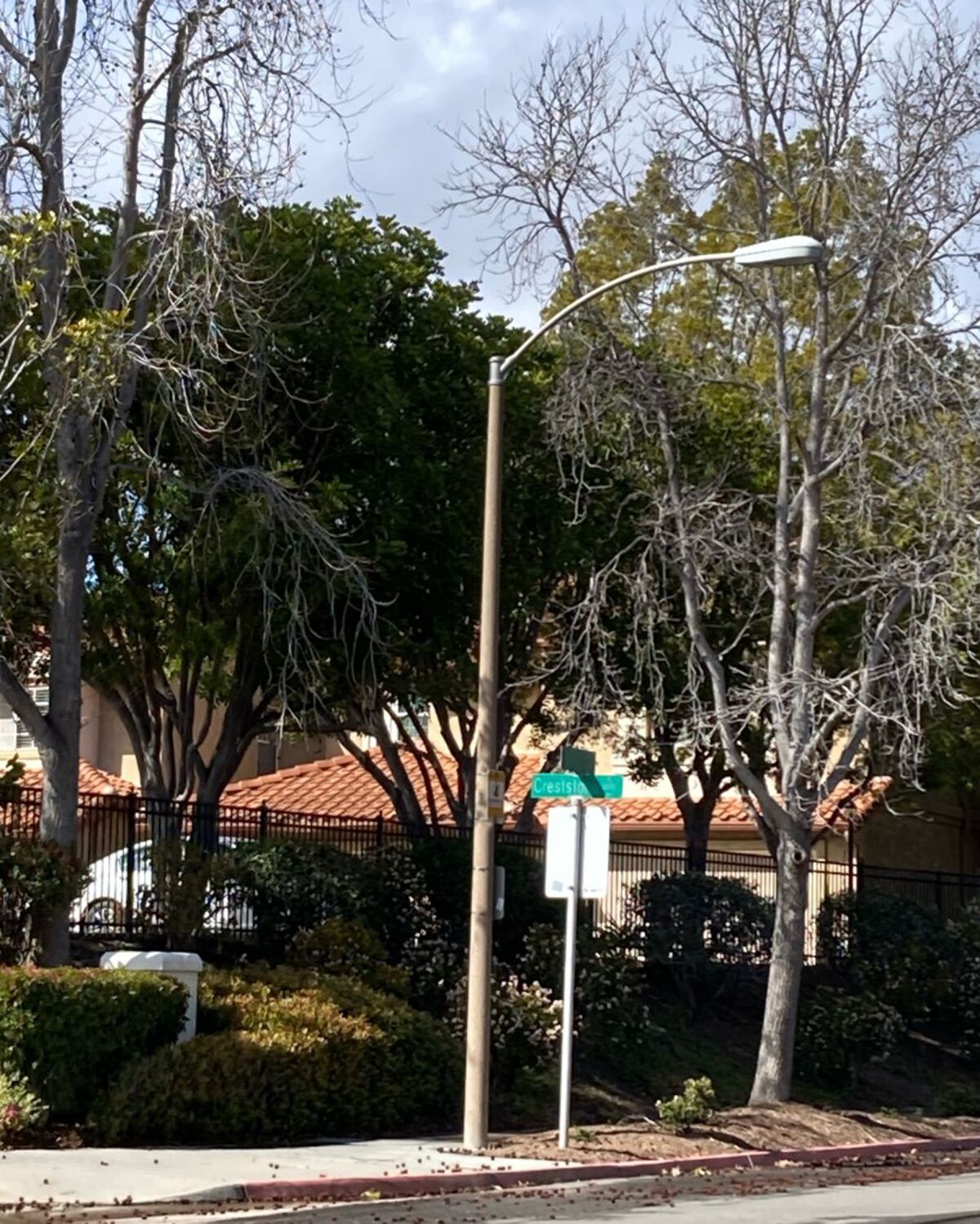 Example of the city’s standard Cobra Head lights, which will replace 18 existing pole attachment lights in Crown Point.