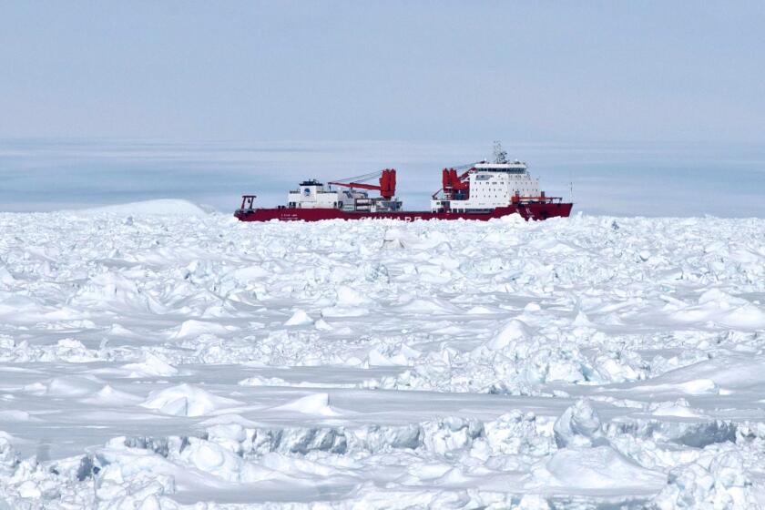 The Chinese vessel Xue Long, or Snow Dragon, is seen from the Australian ship Aurora Australis off Antarctica. Both vessels arrived to assist a stranded Russian ship. The Xue Long is now also stranded.