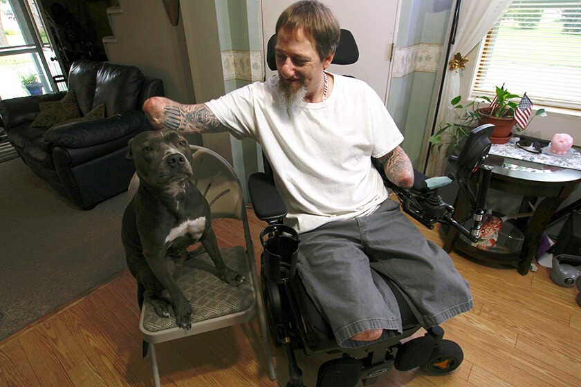 Dog lick amputation