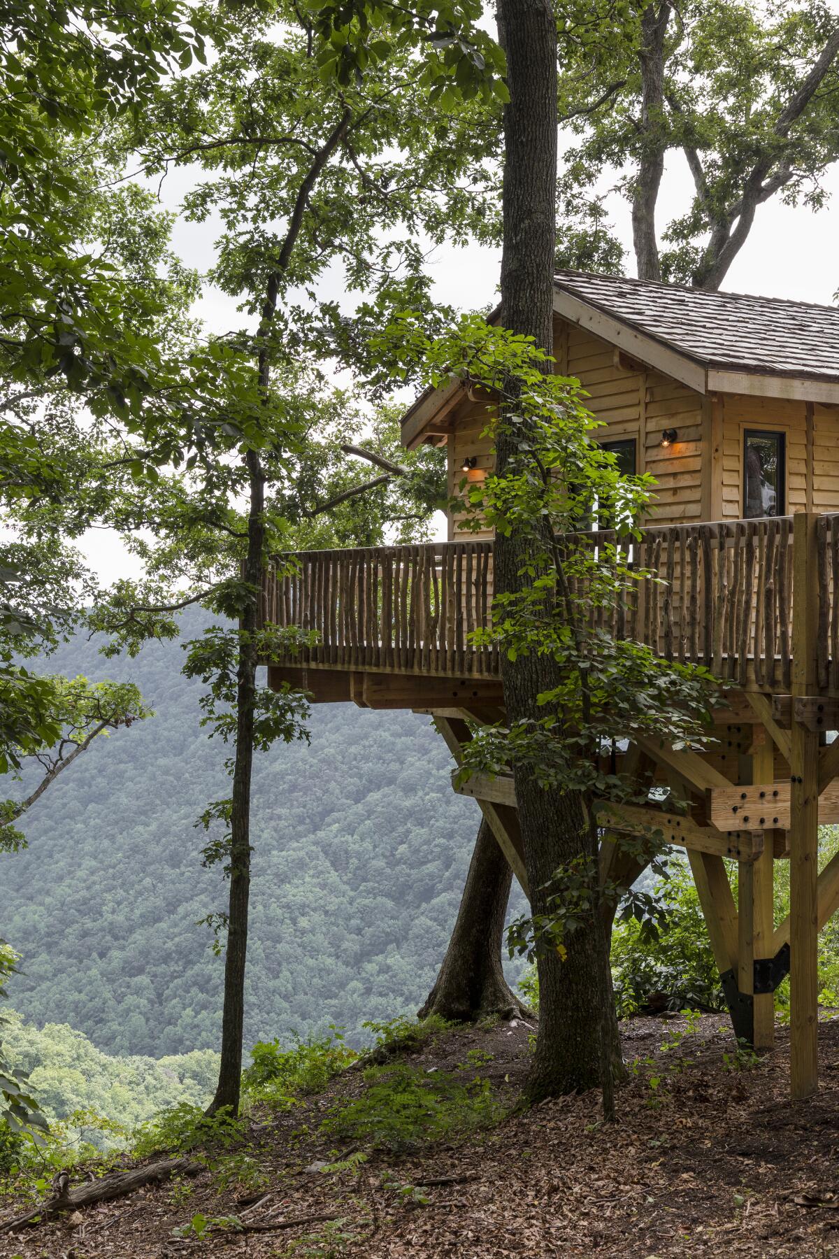 A tree-side view of the Golden Eagle treehouse at Primland Resort. Treehouses also rely on posts or metal pipes.