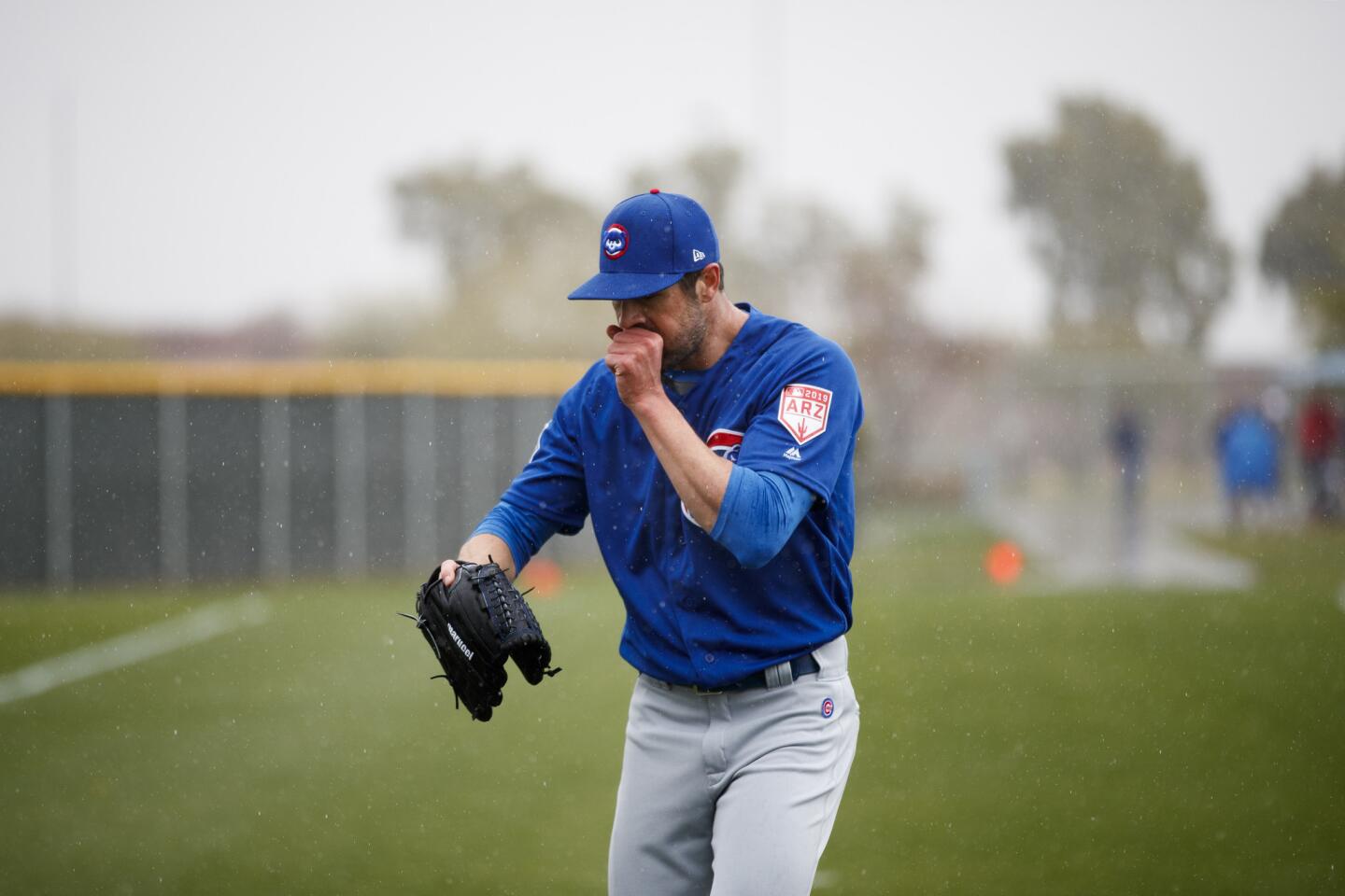 Cubs spring training