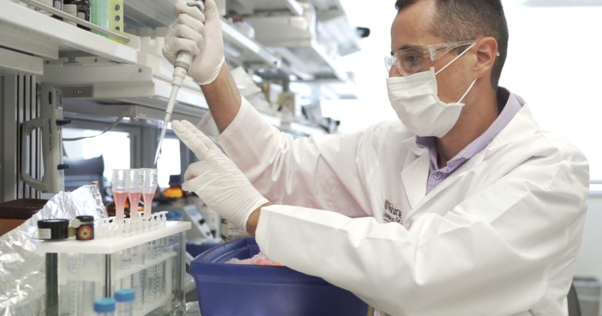 The plan to diagnose Alzheimer’s in people with no memory problems The plan to diagnose Alzheimer’s in people with no memory problems