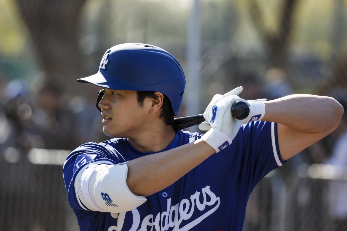 Dodgers designated hitter Shohei Ohtani stands in the batter's box and watches for a pitch during a spring training practice