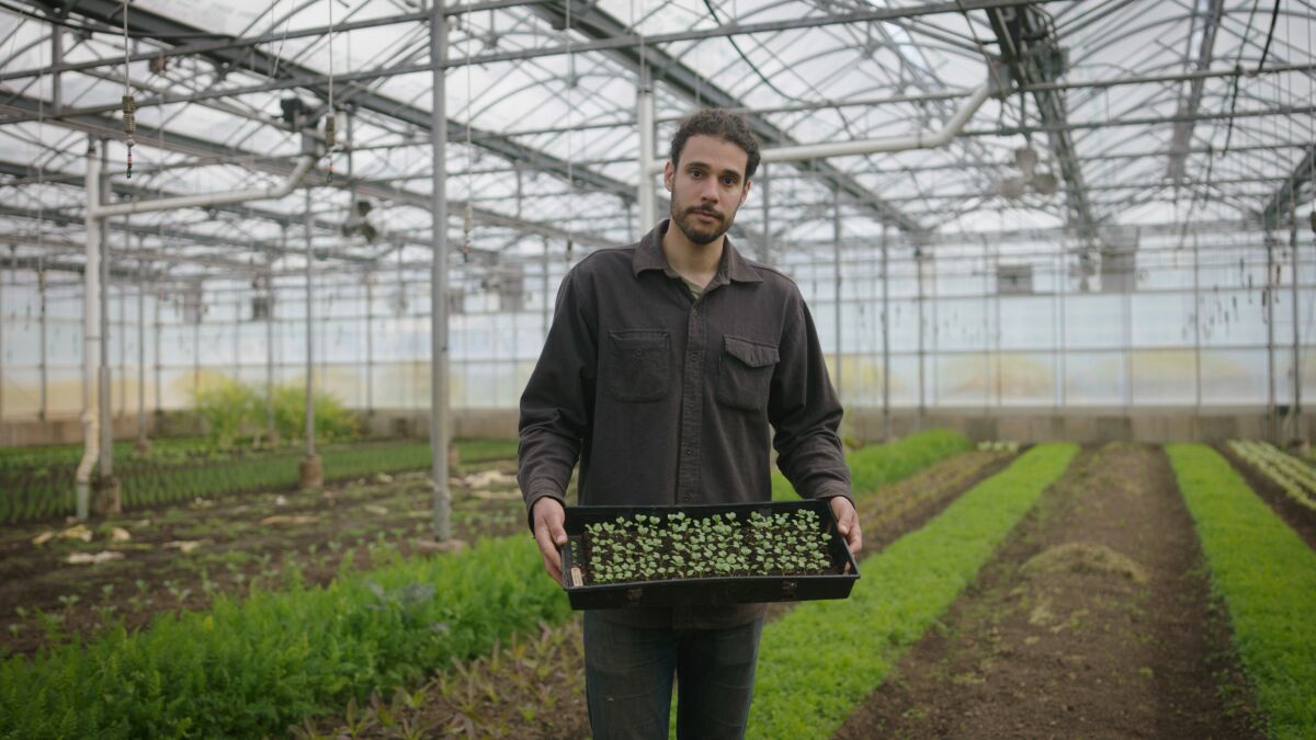 In this photo provided by the Rockefeller Foundation, Jason Grauer, the Seed and Crop Director at Stone Barns, poses for a photo at Stone Barns’s greenhouse on April 7, 2021, in Tarrytown, N.Y. Rockefeller grantee Stone Barns Center for Food and Agriculture is working on innovative, community-based ways to increase access to food and use sustainable environmental practices. (William Rouse/Media RED via AP)