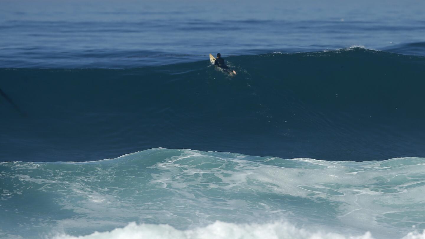 San Diego Surf