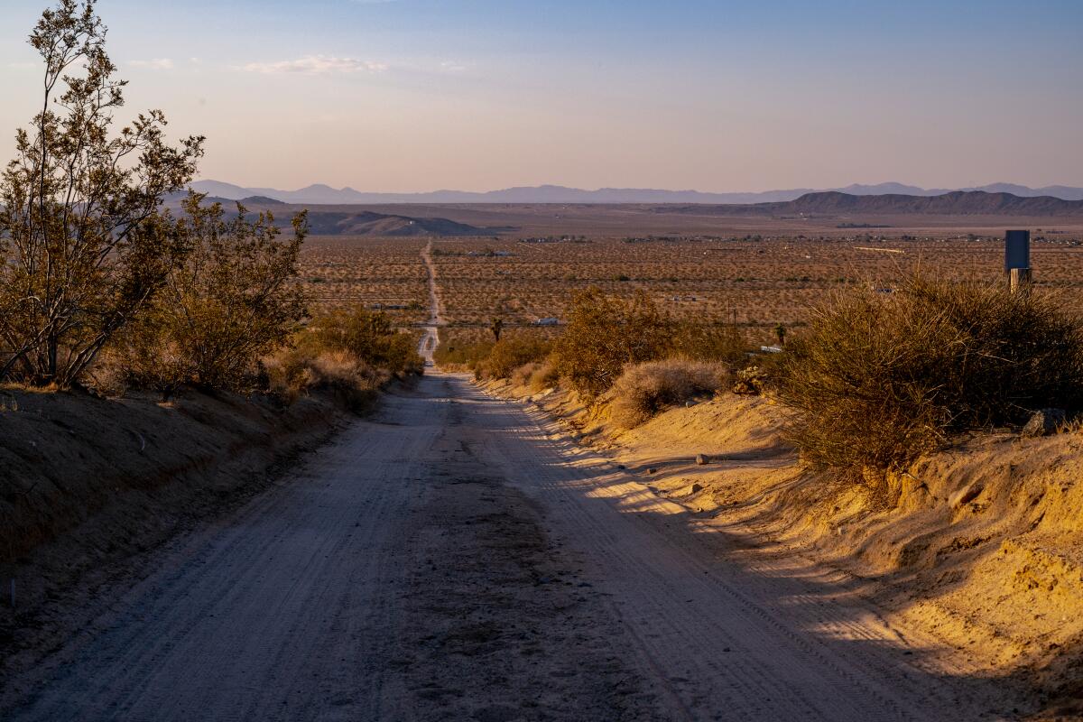 A dirt road running through a desert.