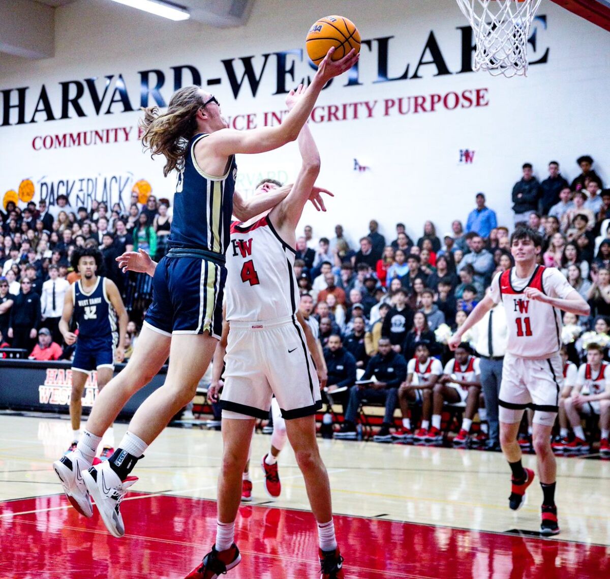 Andrew Meadow of West Ranch elevates for a layup against Harvard-Westlake's Nikolas Khamenia.