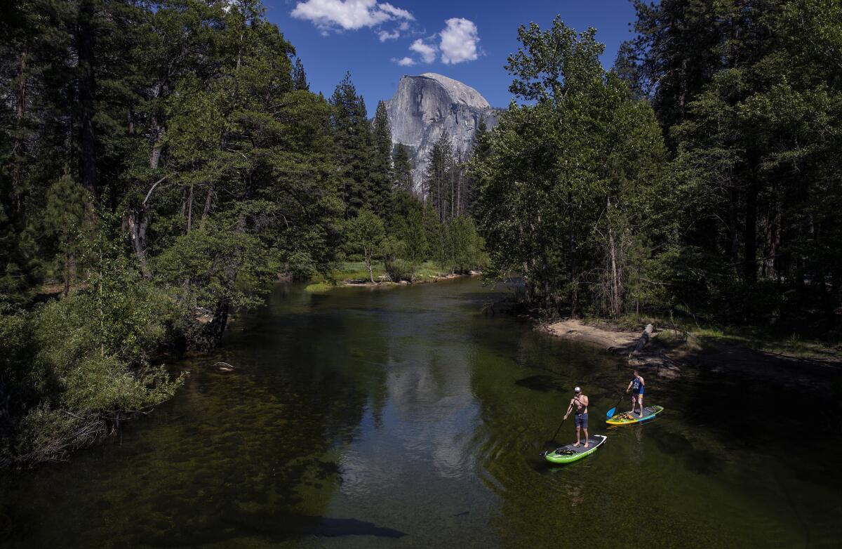 Paddleboarders on the Merced River in Yosemite, which has reopened after an 83-day shutdown.