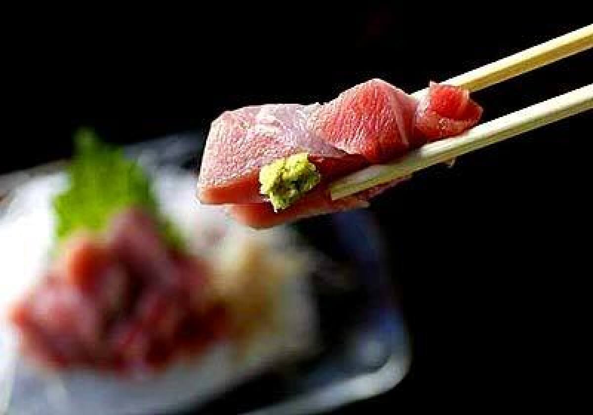 Its customary to pick up sashimi, like this toro (fatty tuna belly), with chopsticks, then add wasabi to taste.