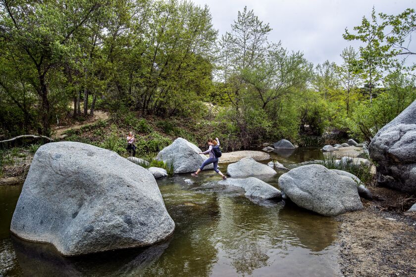 FALLBROOK, CA - APRIL 12, 2021: Tania Figueroa of San Diego makes her way across the Santa Margarita River while heading with a friend to another trail at the Santa Margarita River Trail Preserve in Fallbrook. (Mel Melcon / Los Angeles Times)