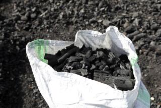 Un saco lleno de carbón en Gulu, Uganda, el 27 de mayo de 2023. (Foto AP/Hajarah Nalwadda, Archivo)