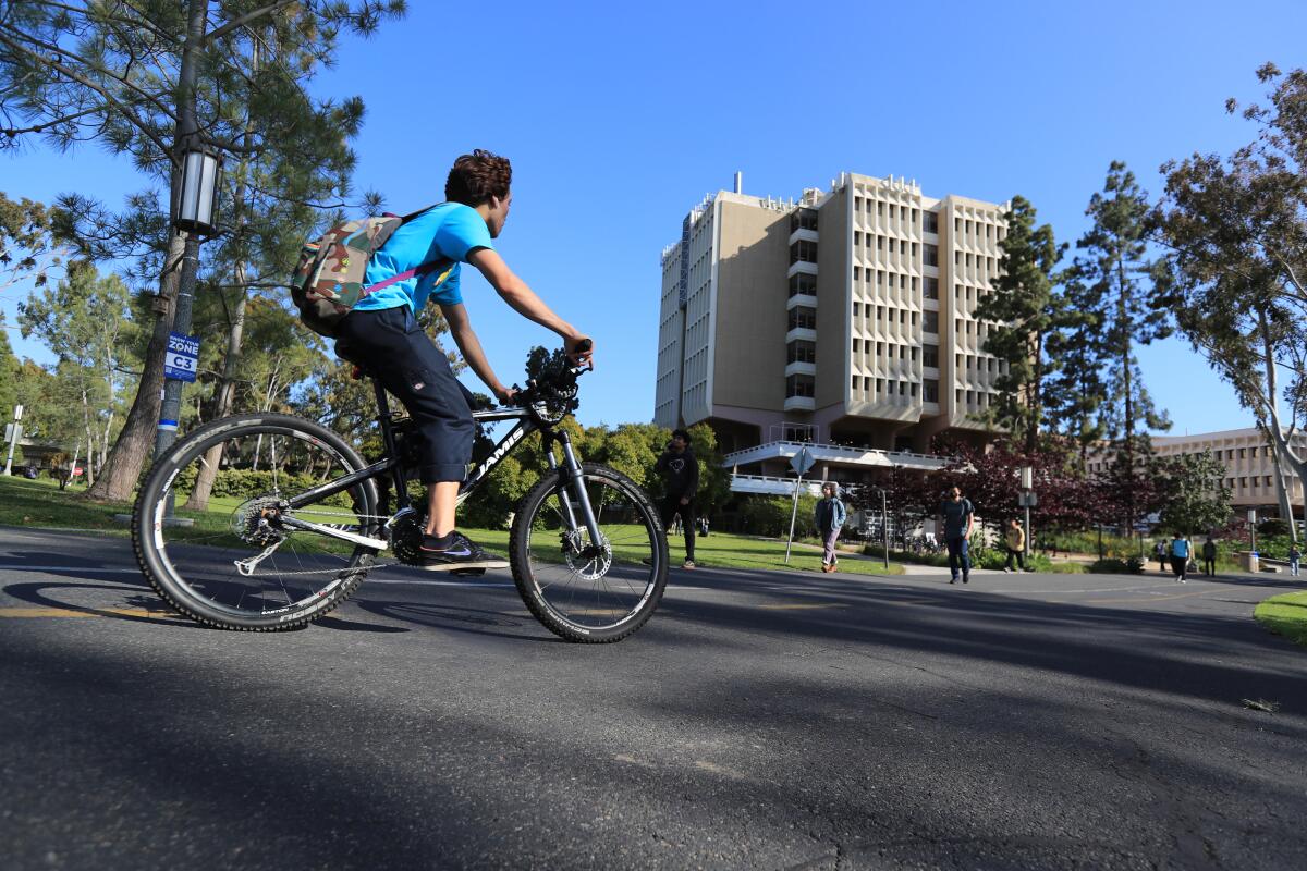 A person rides a bike on a path through a university campus quad