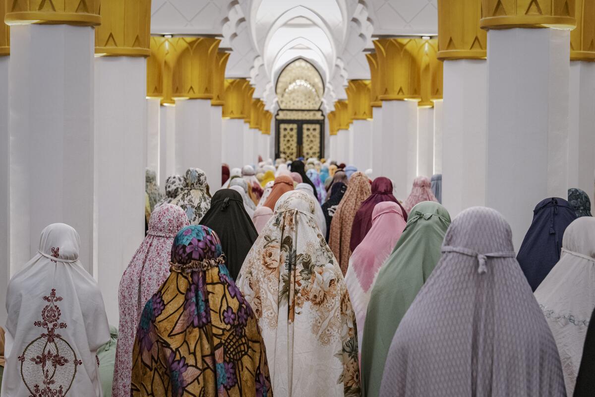 A crowd of people, wearing headscarves, from the back.