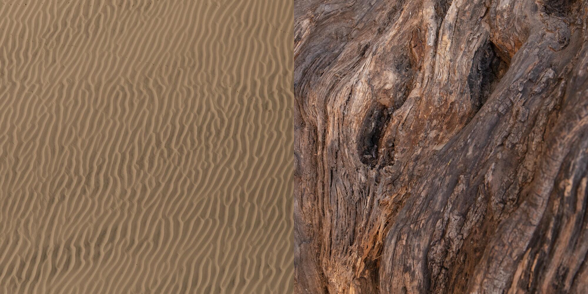 Two photos side by side showing the textures of wind-blown sand, left, and gnarled olive wood, right.