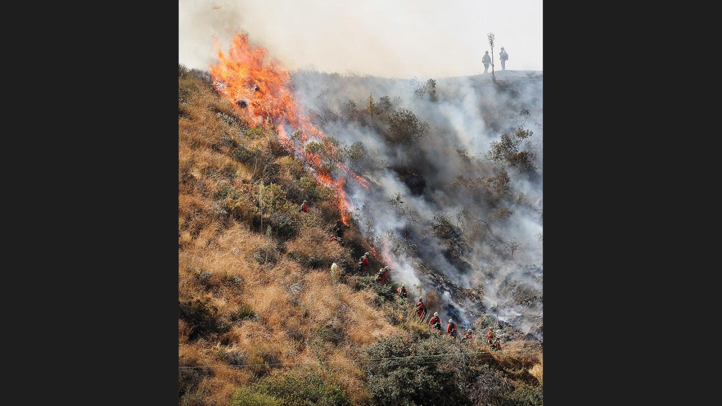 Photo Gallery: Brush fire above Hamline Place in Burbank foothills