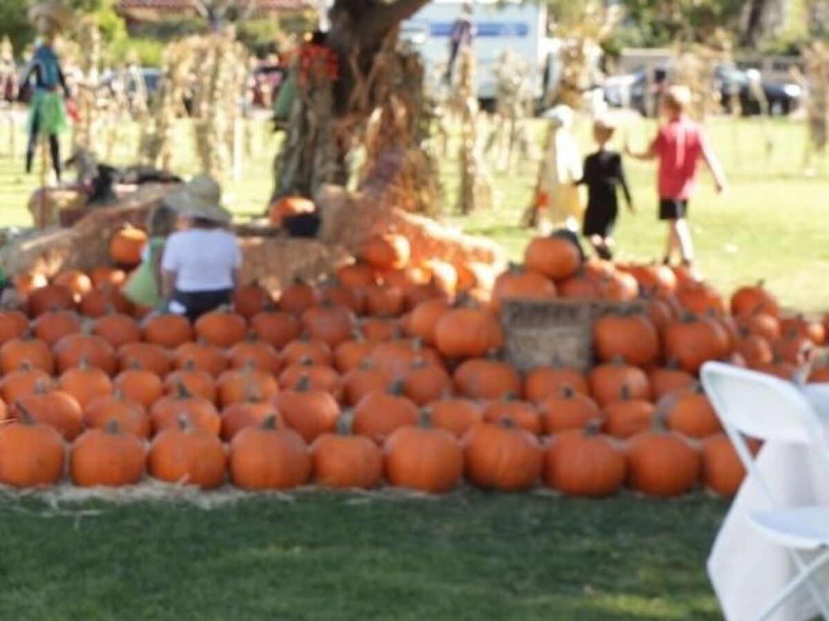 A variety of fall events this year feature the ever-popular pumpkin!