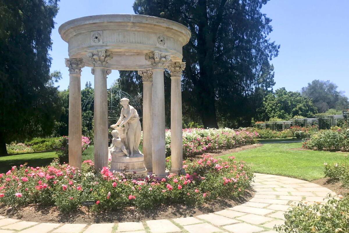 The rose garden at the Huntington Library, Art Museum and Botanical Gardens. 