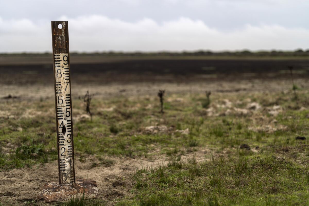 A water meter stands in a dry wetland in Donana natural park, southwest Spain.