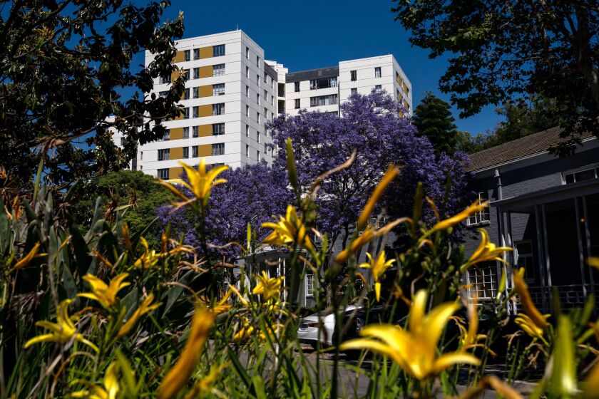 LOS ANGELES, CA - MAY 14: The Park La Brea complex, photographed on Thursday, May 14, 2020 in Los Angeles, CA. The Park La Brea housing complex is the largest west of the Mississippi River. (Kent Nishimura / Los Angeles Times)