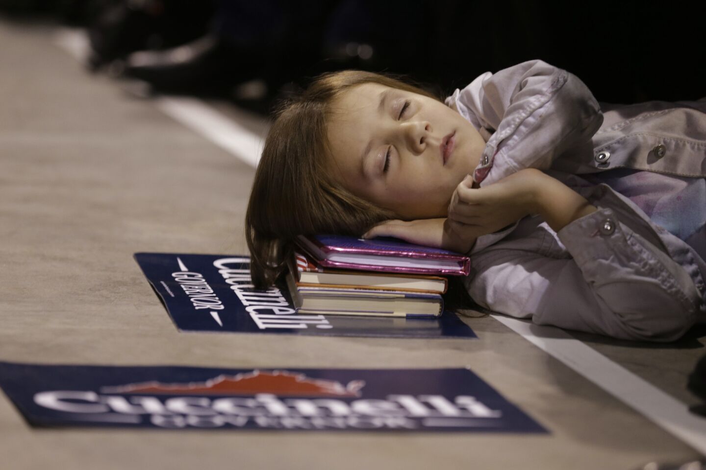 Sleepy 2013 elections