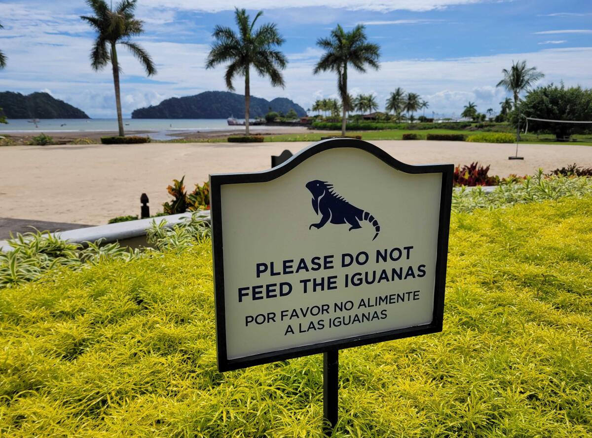 A sign at the Los Sueños Resort and Marina in Playa Herradura, Costa Rica, advises against feeding the local wildlife.