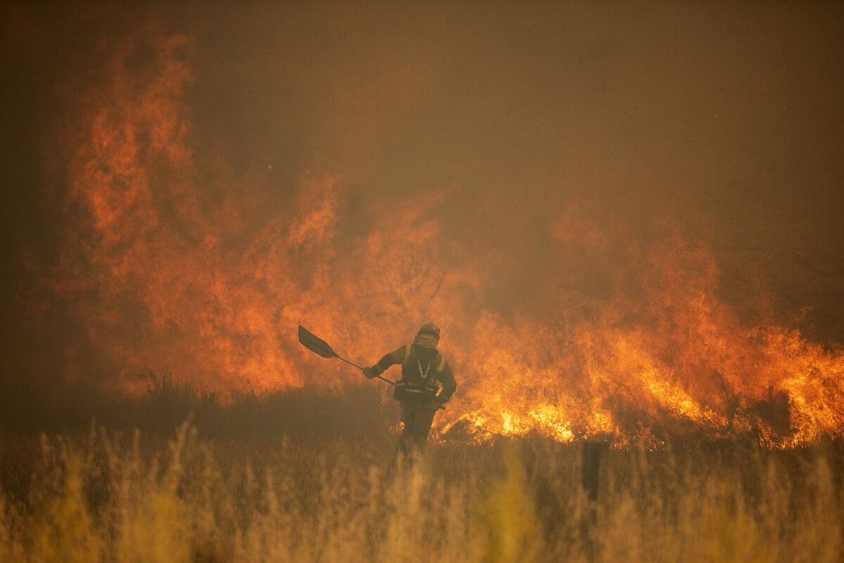 A firefighter works in front of flames in the Sierra de la Culebra in Spain's Zamora province on Saturday.