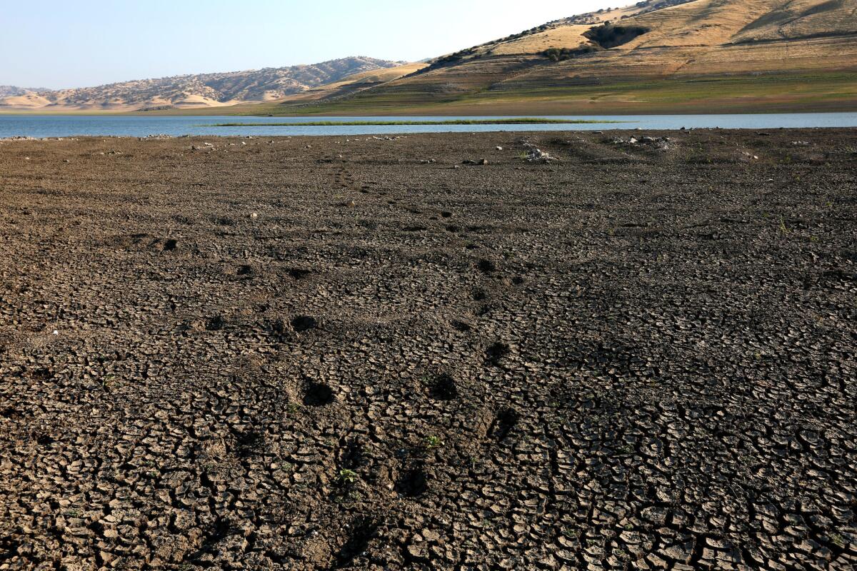 The San Luis Reservoir was only 10% full, its lowest level in 27 years, as of last week.