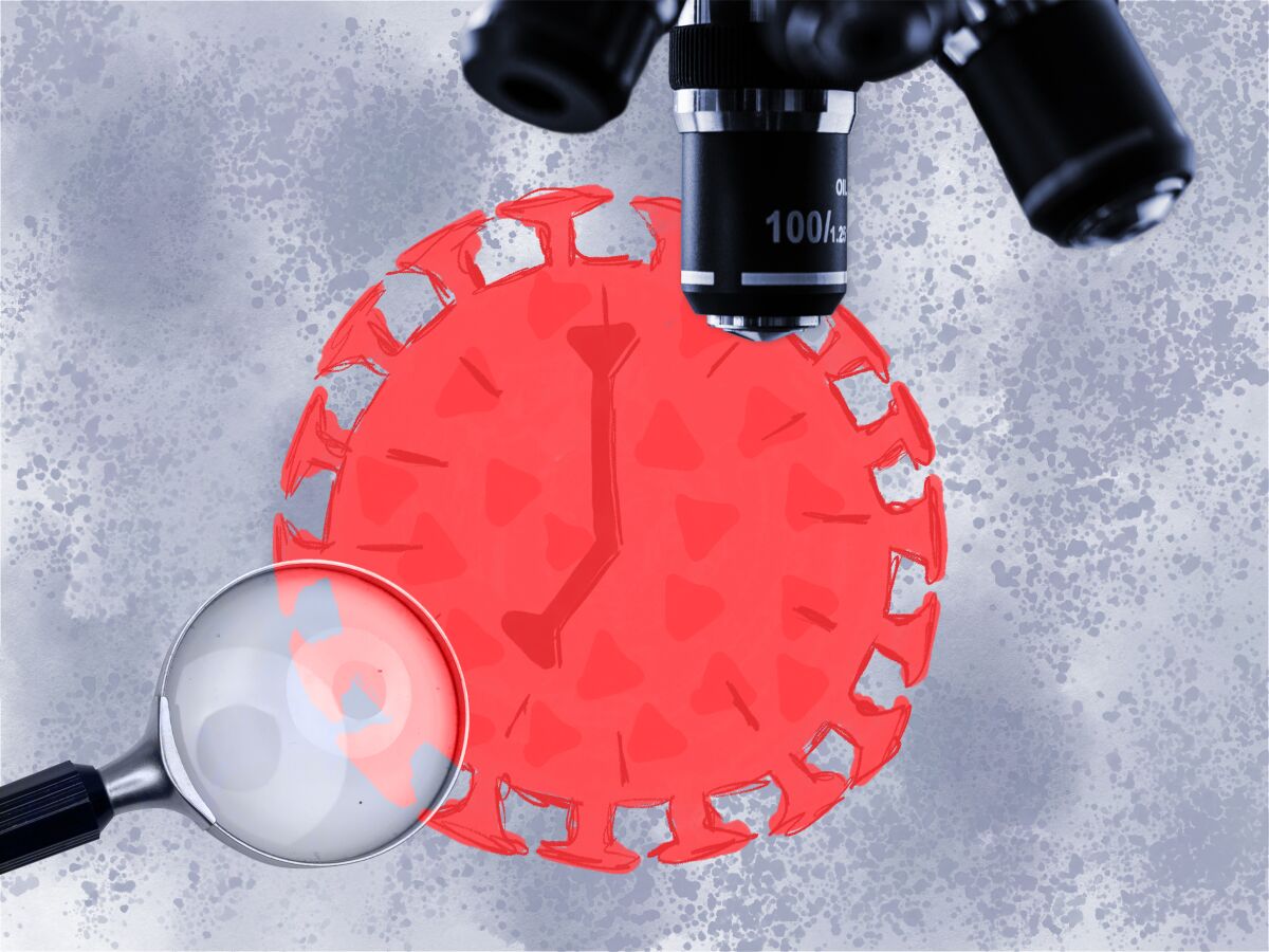 Photo illustration of a microscope and magnifying glass 