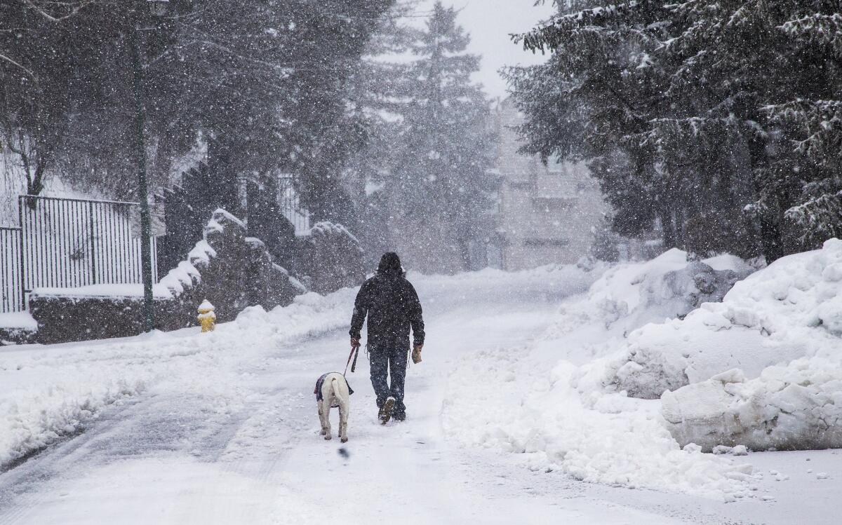 A man walks his dog during a snowstorm in Lake Arrowhead Village. California appears to have recovered about a third of the water content that it lost during a succession of dreary winters, researchers found.
