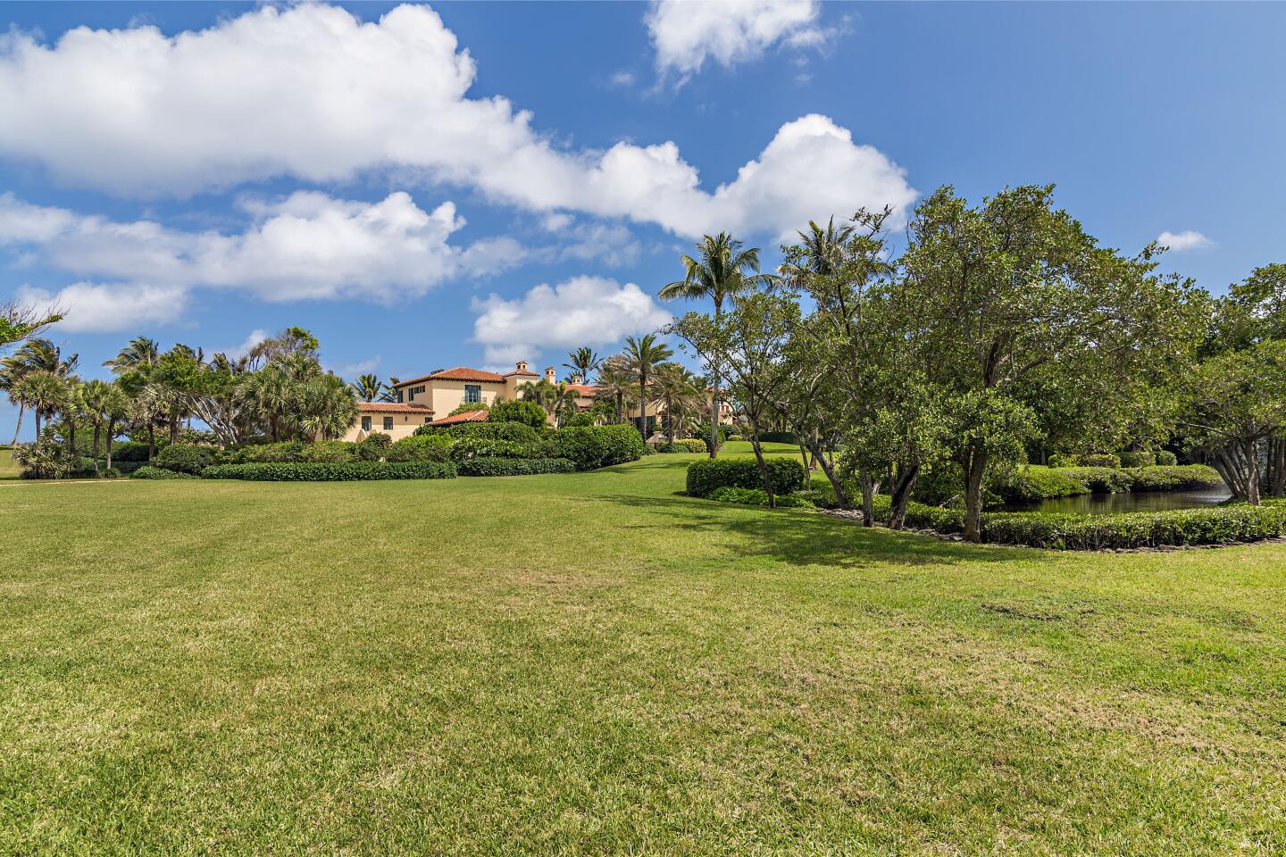 The lawn.